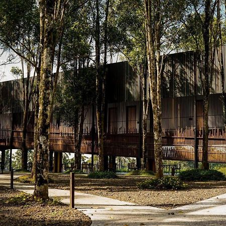 Teras Hotel Ijen Banyuwangi Banyuwangi  Kültér fotó