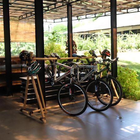 Teras Hotel Ijen Banyuwangi Banyuwangi  Kültér fotó