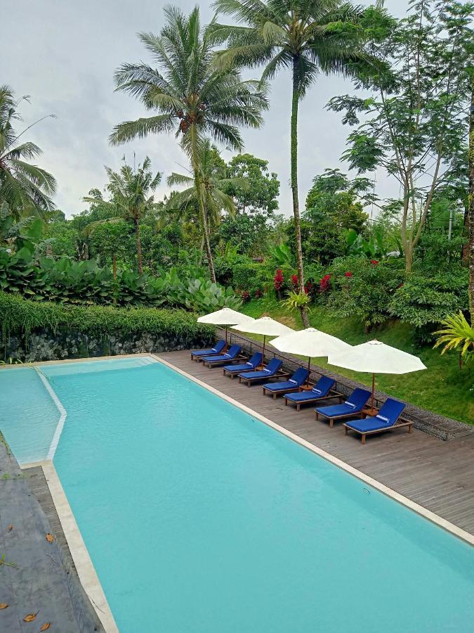 Teras Hotel Ijen Banyuwangi Banyuwangi  Kültér fotó